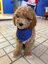La Tech State Pet Bandana