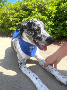 La Tech Pet Bandana